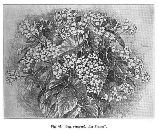 B. ‘La France’